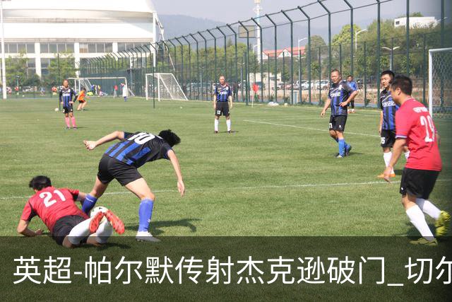 英超-帕尔默传射杰克逊破门 切尔西3-2纽卡斯尔